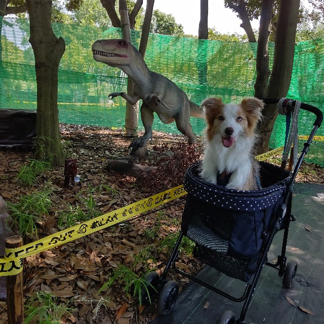 f:id:gussan-belle:20210807094247j:image f:id:gussan-belle:20210807094247j:image