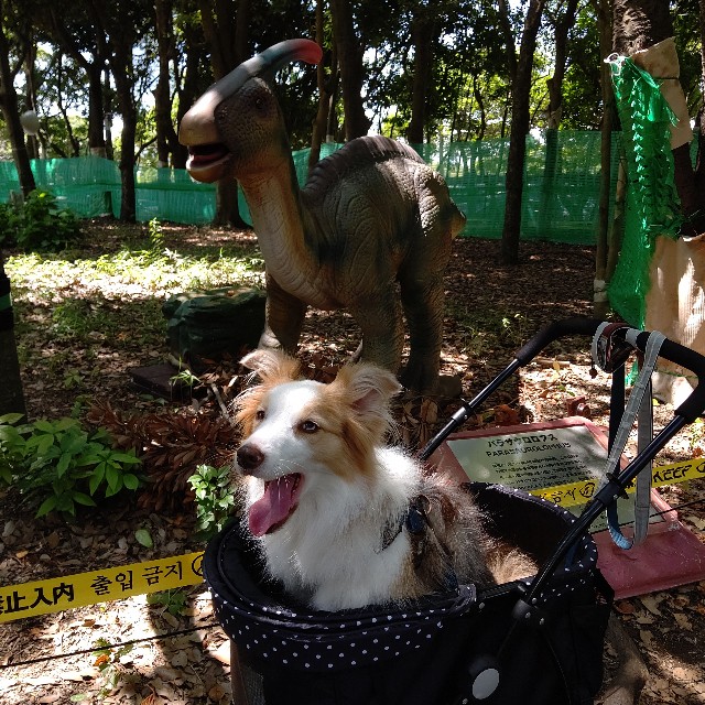 f:id:gussan-belle:20210807094316j:image f:id:gussan-belle:20210807094316j:image