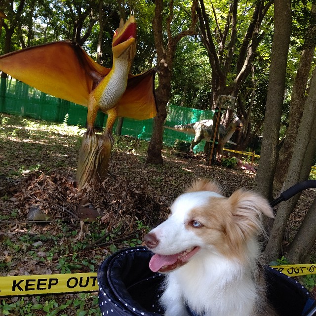 f:id:gussan-belle:20210807094330j:image f:id:gussan-belle:20210807094330j:image