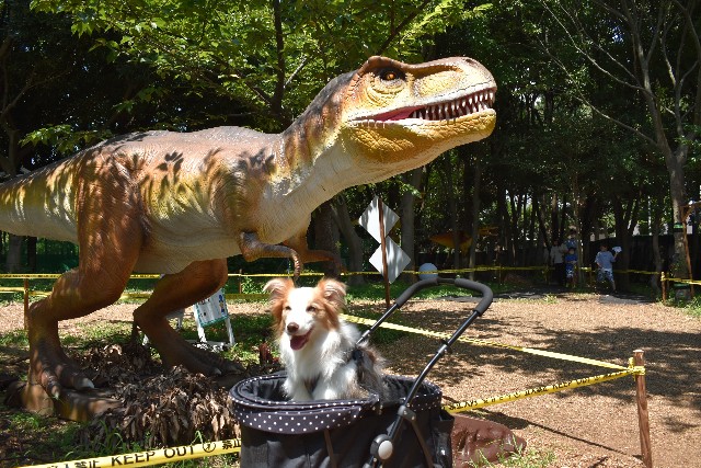 f:id:gussan-belle:20210807094346j:image f:id:gussan-belle:20210807094346j:image