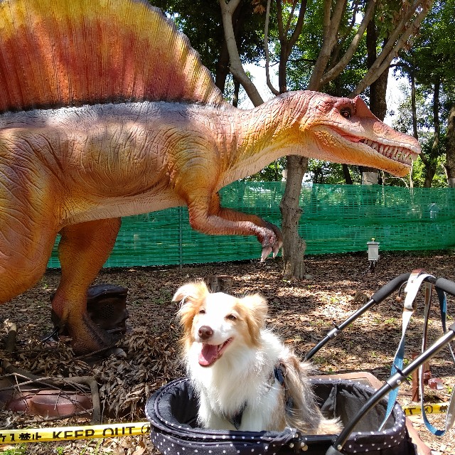 f:id:gussan-belle:20210807094418j:image f:id:gussan-belle:20210807094418j:image