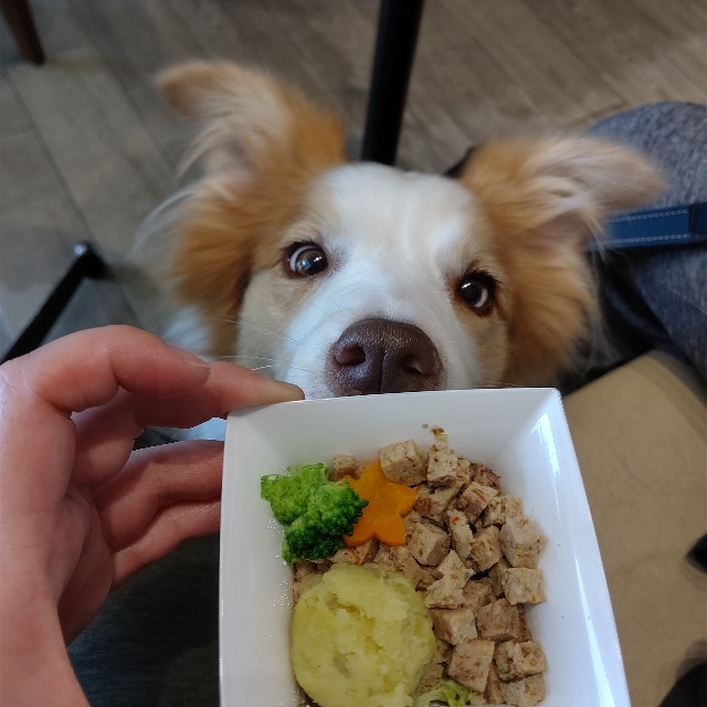 f:id:gussan-belle:20210810092455j:image