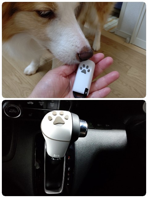 f:id:gussan-belle:20210811110802j:image f:id:gussan-belle:20210811110802j:image