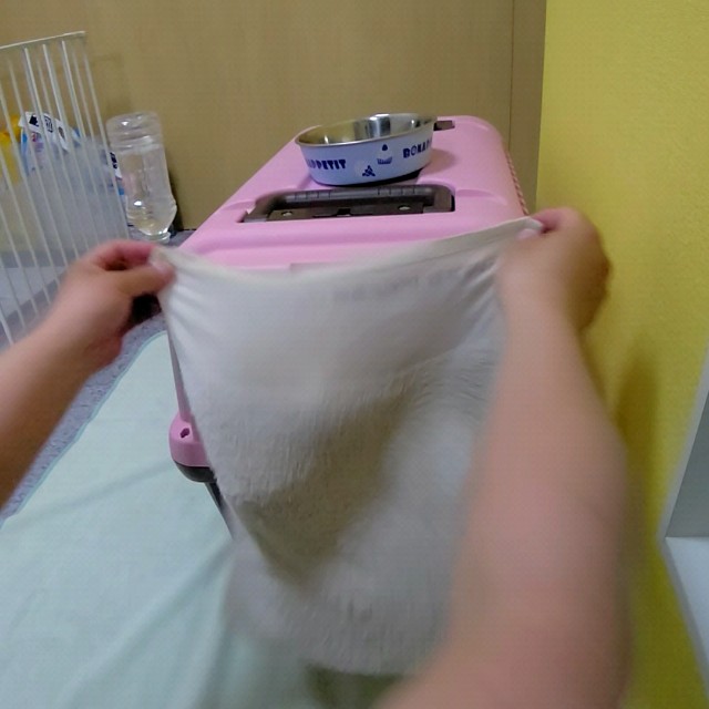 f:id:gussan-belle:20210811111347j:image f:id:gussan-belle:20210811111347j:image