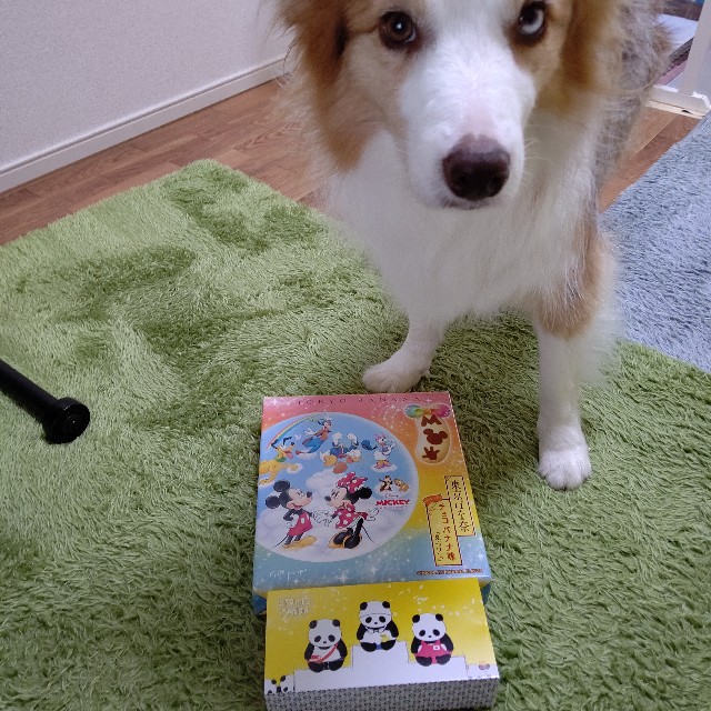 f:id:gussan-belle:20210816110524j:image f:id:gussan-belle:20210816110524j:image