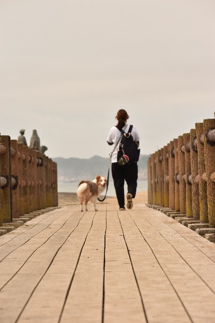 f:id:gussan-belle:20210928123703j:image