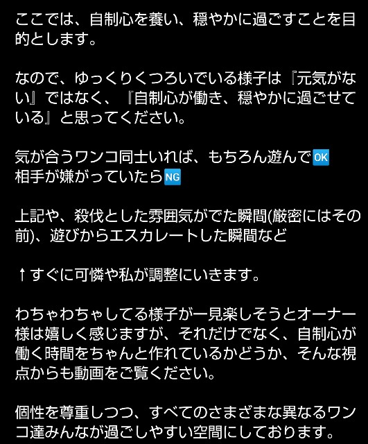 f:id:gussan-belle:20211103133215j:image