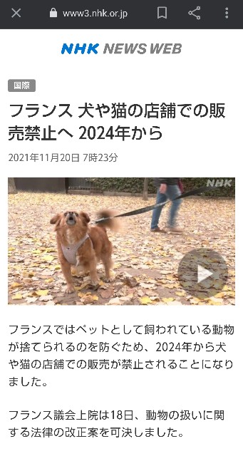 f:id:gussan-belle:20211122094136j:image f:id:gussan-belle:20211122094136j:image