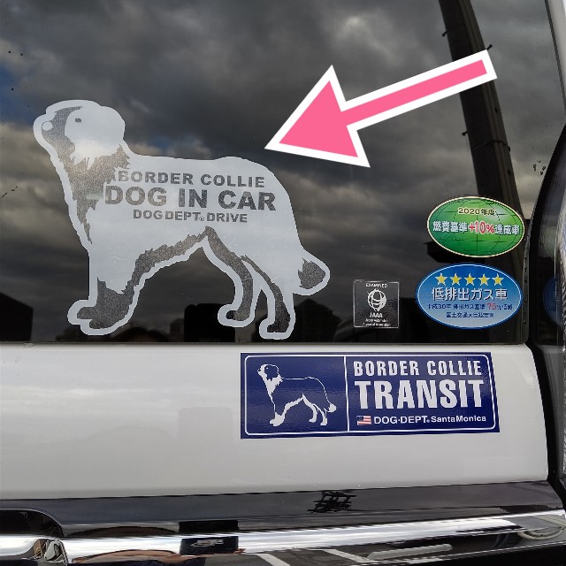 f:id:gussan-belle:20211220112253j:image