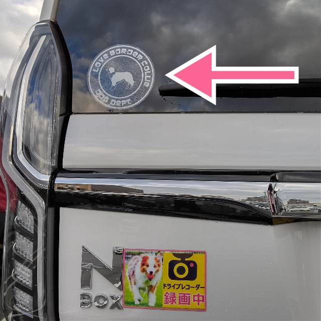 f:id:gussan-belle:20211220112302j:image