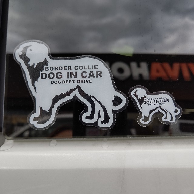 f:id:gussan-belle:20211220112318j:image