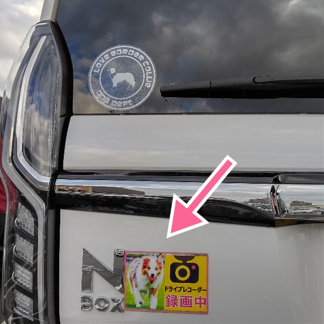 f:id:gussan-belle:20211220112459j:image