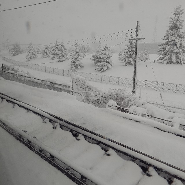 f:id:gussan-belle:20211228115413j:image f:id:gussan-belle:20211228115413j:image