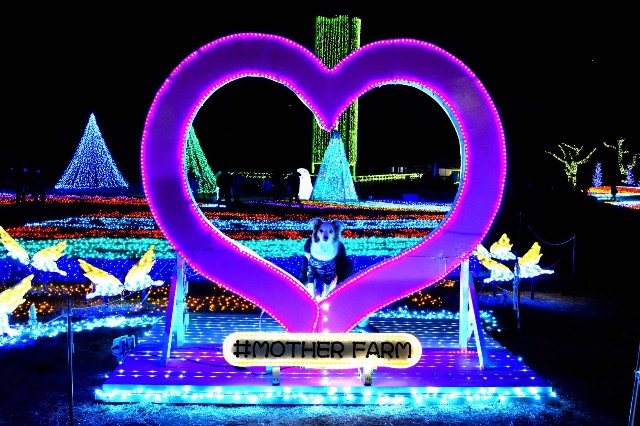 f:id:gussan-belle:20220105123044j:image