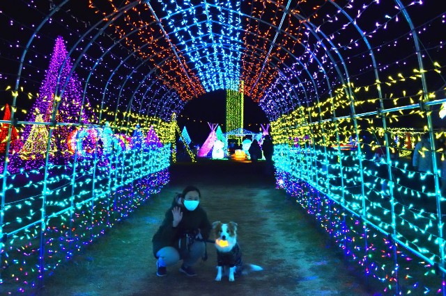 f:id:gussan-belle:20220105123129j:image