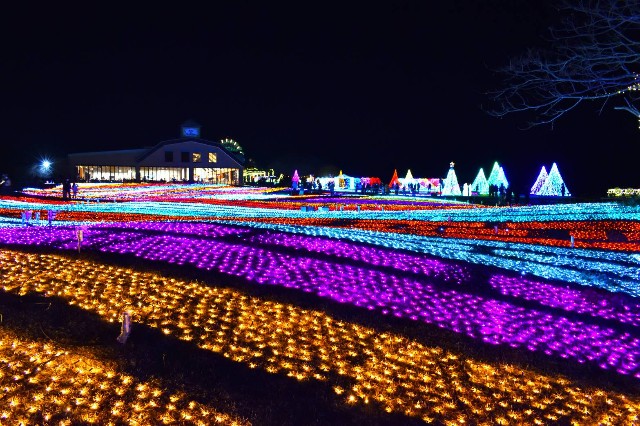 f:id:gussan-belle:20220105123805j:image