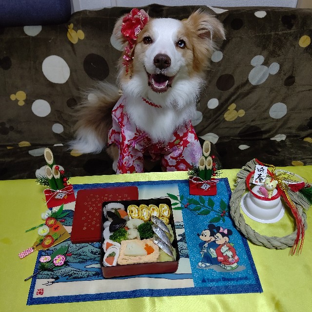 f:id:gussan-belle:20220126080548j:image