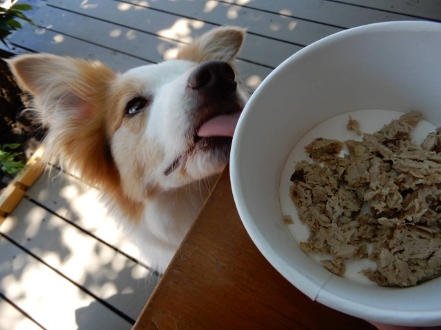 f:id:gussan-belle:20220513082839j:image