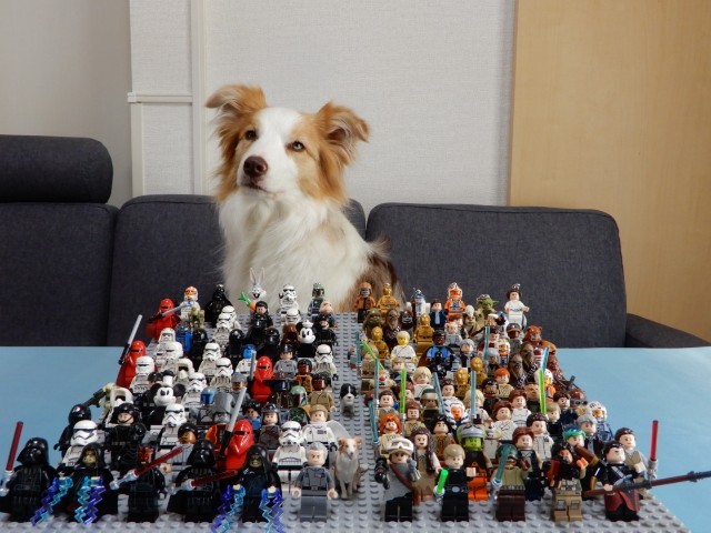 f:id:gussan-belle:20220513083707j:image