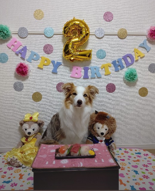 f:id:gussan-belle:20220619210758j:image f:id:gussan-belle:20220619210758j:image