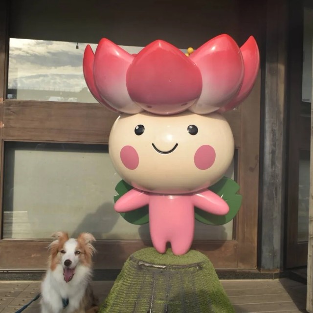 f:id:gussan-belle:20220704123527j:image f:id:gussan-belle:20220704123527j:image