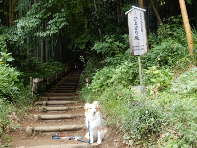 f:id:gussan-belle:20220708105657j:image f:id:gussan-belle:20220708105657j:image