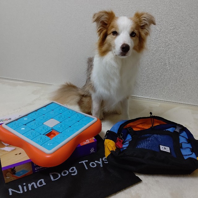 f:id:gussan-belle:20220708110124j:image f:id:gussan-belle:20220708110124j:image