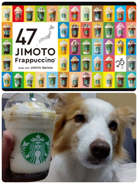 f:id:gussan-belle:20220708110244j:image f:id:gussan-belle:20220708110244j:image