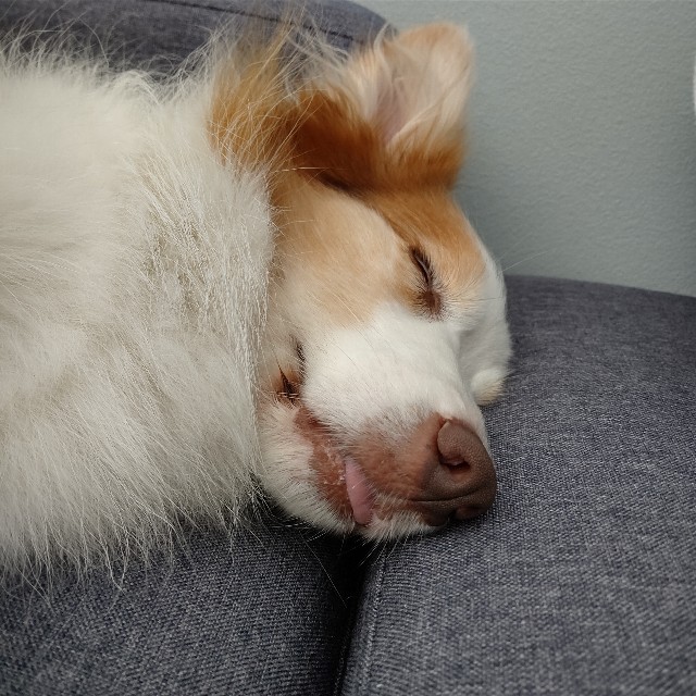 f:id:gussan-belle:20220730091358j:image f:id:gussan-belle:20220730091358j:image