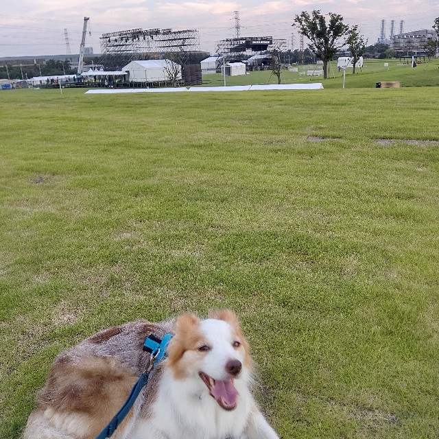 f:id:gussan-belle:20220807103411j:image