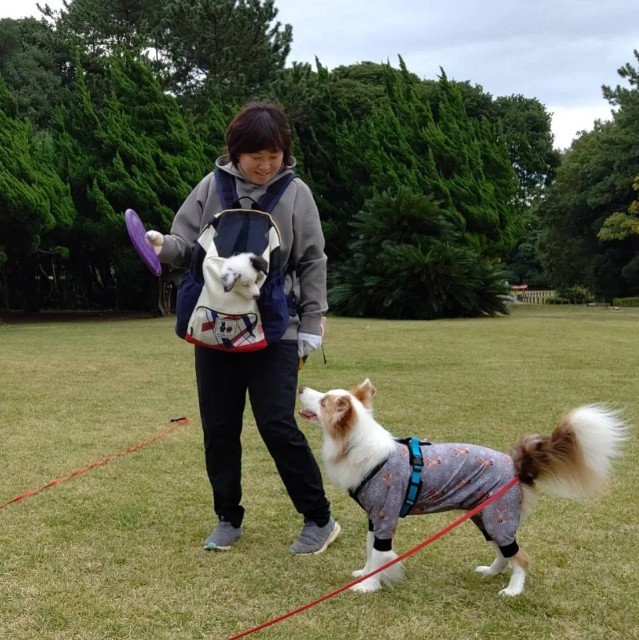 f:id:gussan-belle:20221124073452j:image f:id:gussan-belle:20221124073452j:image