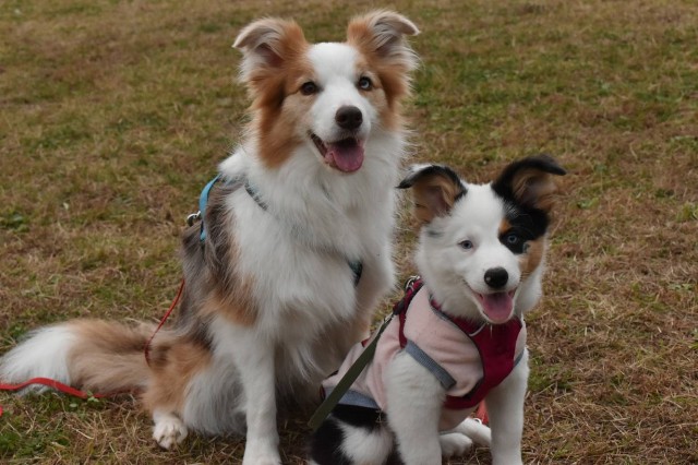 f:id:gussan-belle:20221205160251j:image f:id:gussan-belle:20221205160251j:image