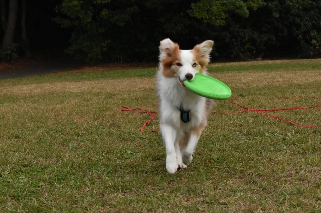 f:id:gussan-belle:20221205160746j:image f:id:gussan-belle:20221205160746j:image