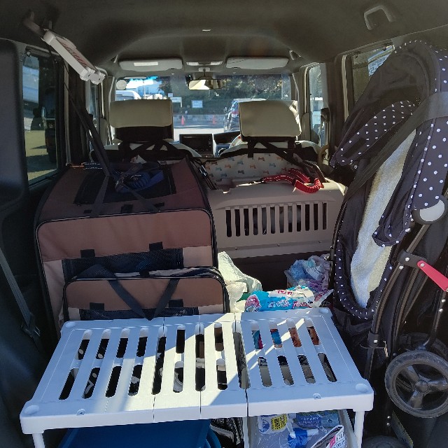 f:id:gussan-belle:20221221155313j:image