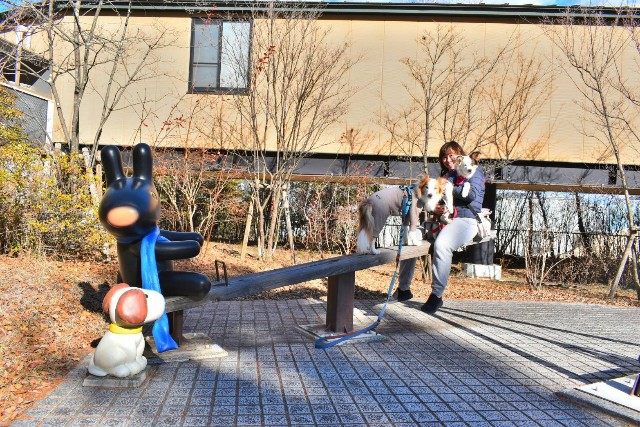 f:id:gussan-belle:20230105200325j:image