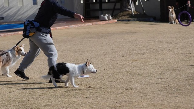 f:id:gussan-belle:20230113155606j:image f:id:gussan-belle:20230113155606j:image