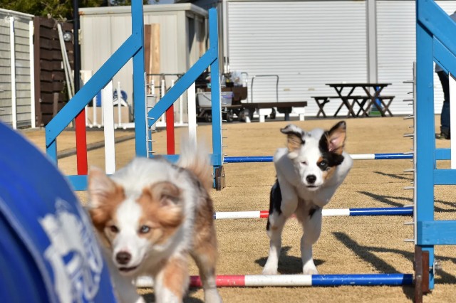 f:id:gussan-belle:20230114090130j:image f:id:gussan-belle:20230114090130j:image