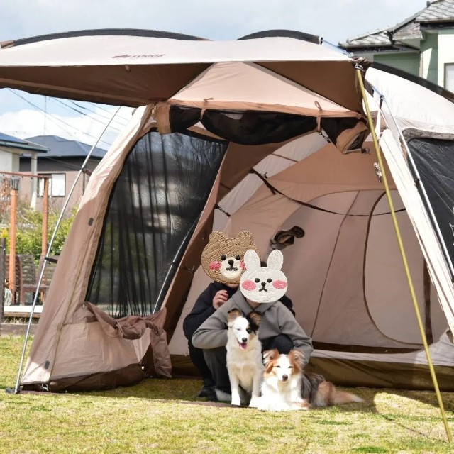 f:id:gussan-belle:20230323201427j:image f:id:gussan-belle:20230323201427j:image