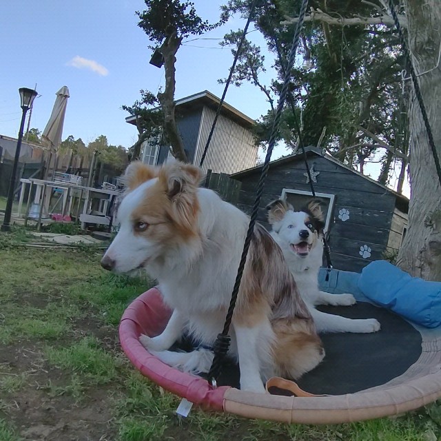 f:id:gussan-belle:20230323202124j:image f:id:gussan-belle:20230323202124j:image