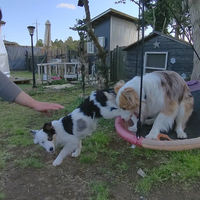 f:id:gussan-belle:20230323202136j:image f:id:gussan-belle:20230323202136j:image