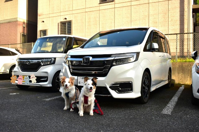 f:id:gussan-belle:20230417094226j:image