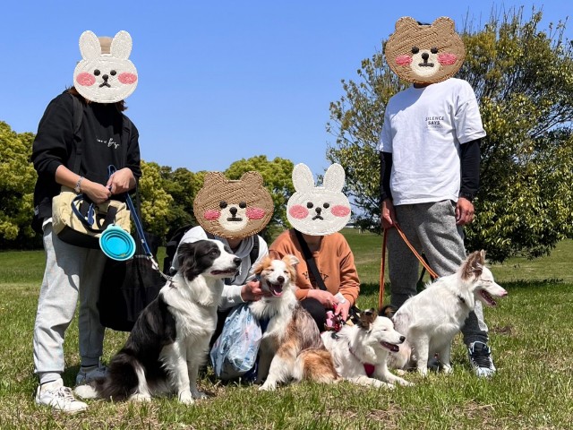 f:id:gussan-belle:20230507215910j:image
