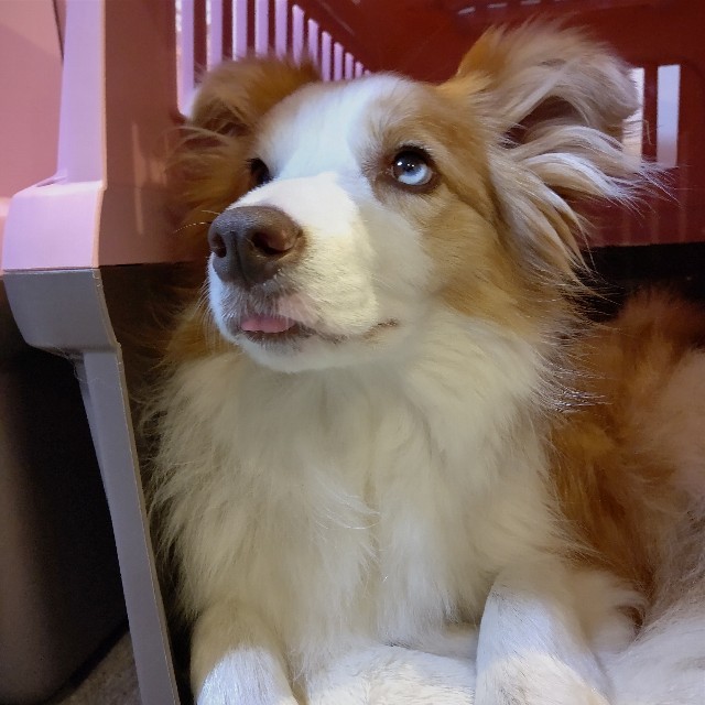 f:id:gussan-belle:20230714081228j:image f:id:gussan-belle:20230714081228j:image