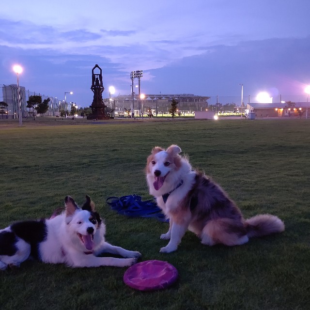 f:id:gussan-belle:20230714081350j:image f:id:gussan-belle:20230714081350j:image