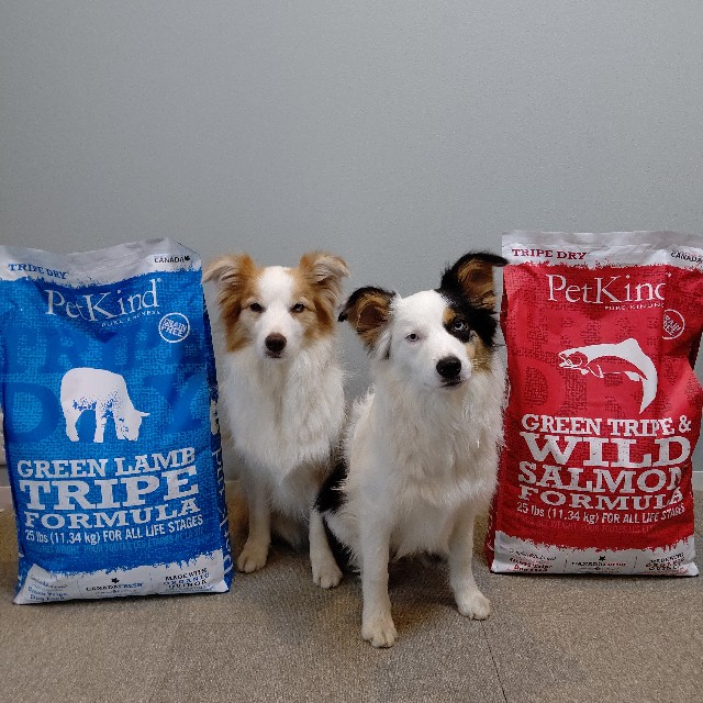 f:id:gussan-belle:20230717162720j:image