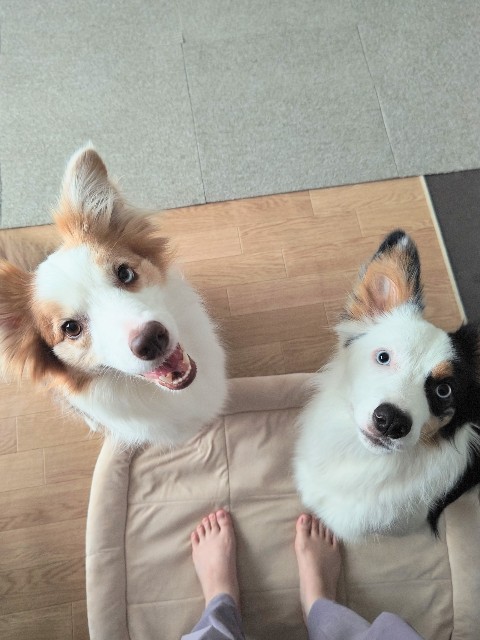 f:id:gussan-belle:20230801153501j:image f:id:gussan-belle:20230801153501j:image