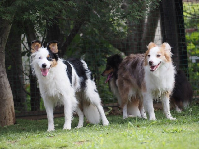 f:id:gussan-belle:20230812080902j:image f:id:gussan-belle:20230812080902j:image