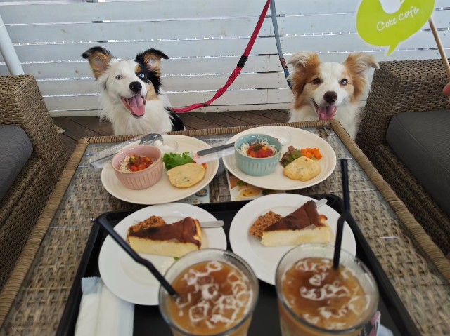 f:id:gussan-belle:20230813083401j:image f:id:gussan-belle:20230813083401j:image