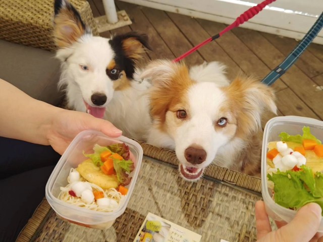 f:id:gussan-belle:20230813083438j:image f:id:gussan-belle:20230813083438j:image