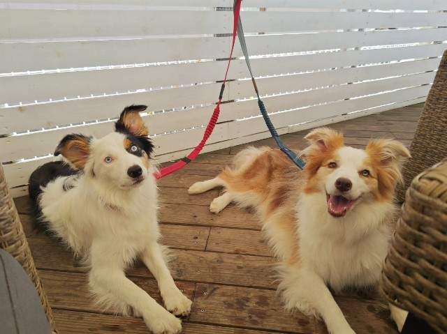 f:id:gussan-belle:20230813100930j:image f:id:gussan-belle:20230813100930j:image